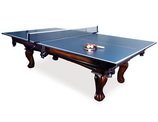 Ping Pong Table Topper